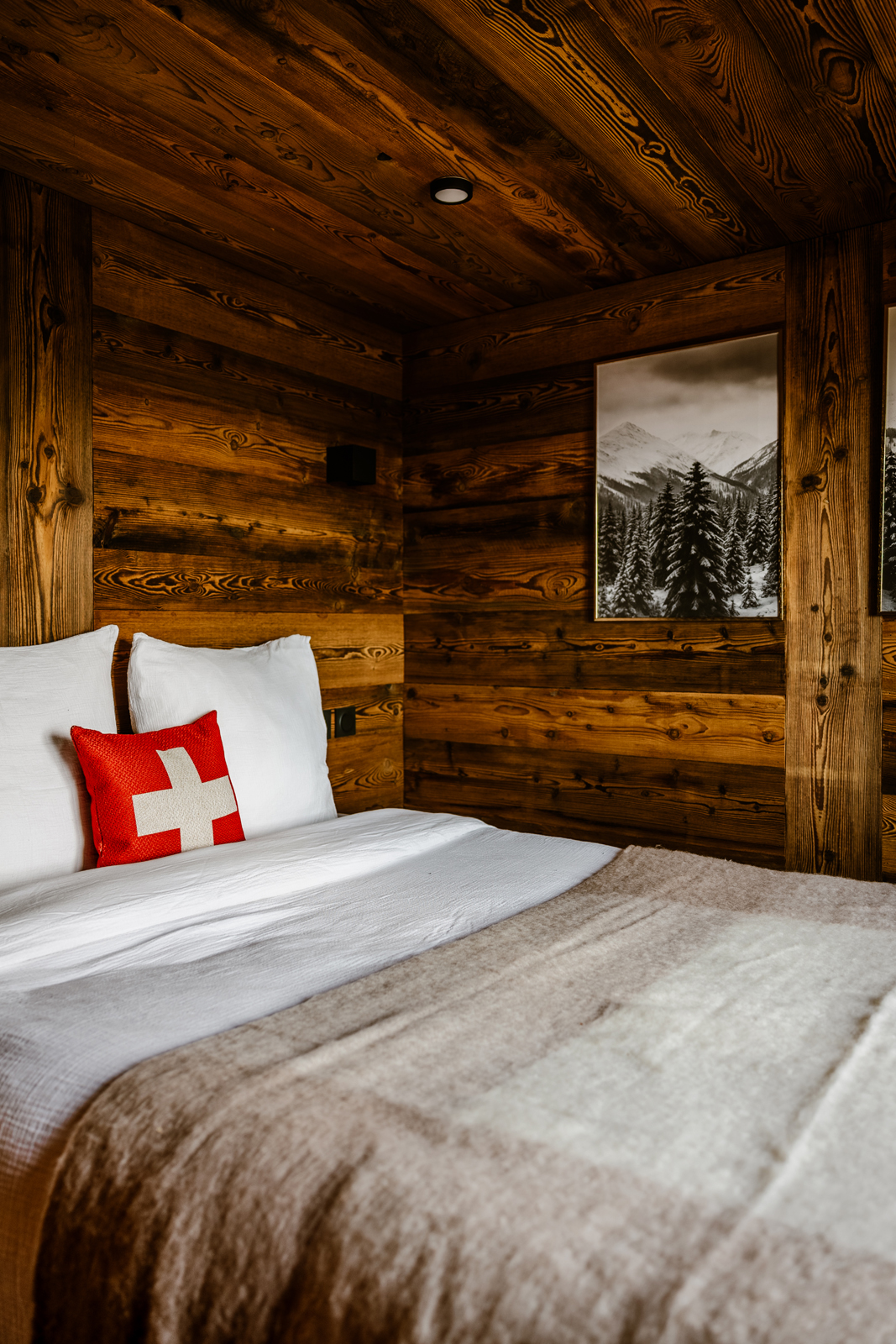 chalet-zore-chalet-montagne-jacuzzi-ski_78
